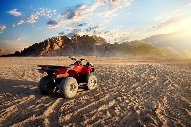 Private Quad Safari