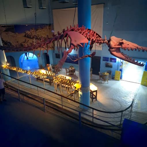 Hurghada Grand Aquarium - image 1