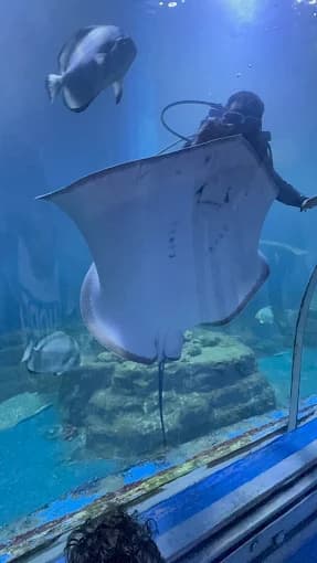 Hurghada Grand Aquarium - image 4