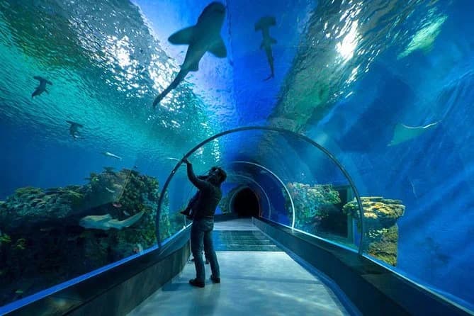 Hurghada Grand Aquarium - image 5