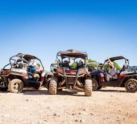 Morning Desert Safari - image 2
