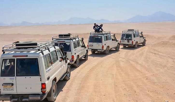 Morning Desert Safari - image 3