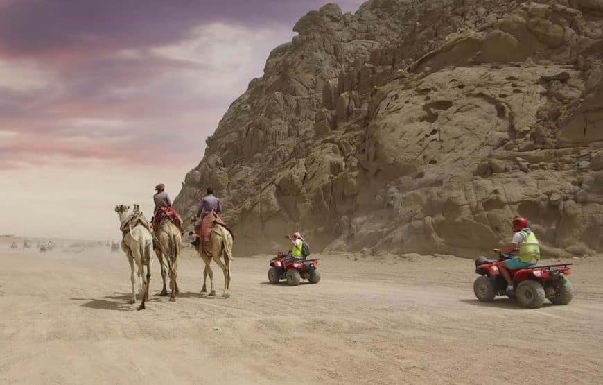 Morning Desert Safari