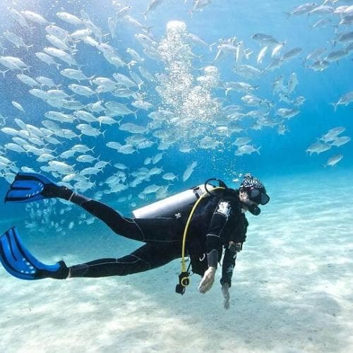 Diving Sea Trip - image 1