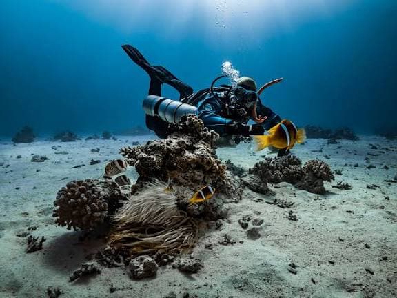 Diving Sea Trip - image 2