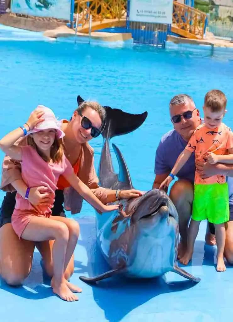 Swimming with Dolphins - image 1