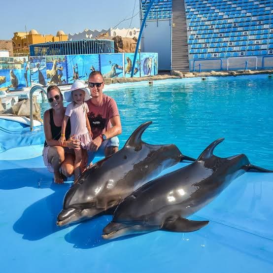 Swimming with Dolphins - image 2