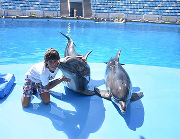 Swimming with Dolphins - image 4