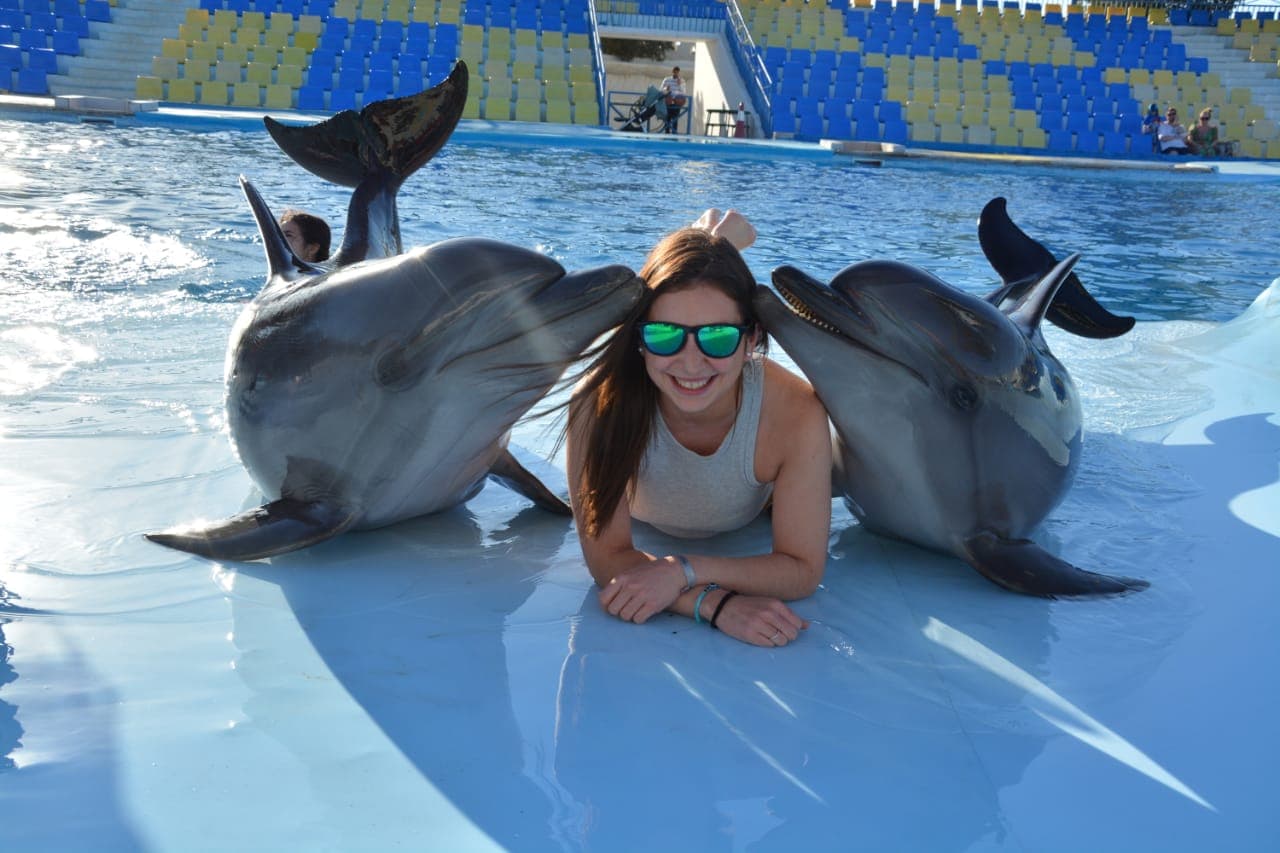 Swimming with Dolphins