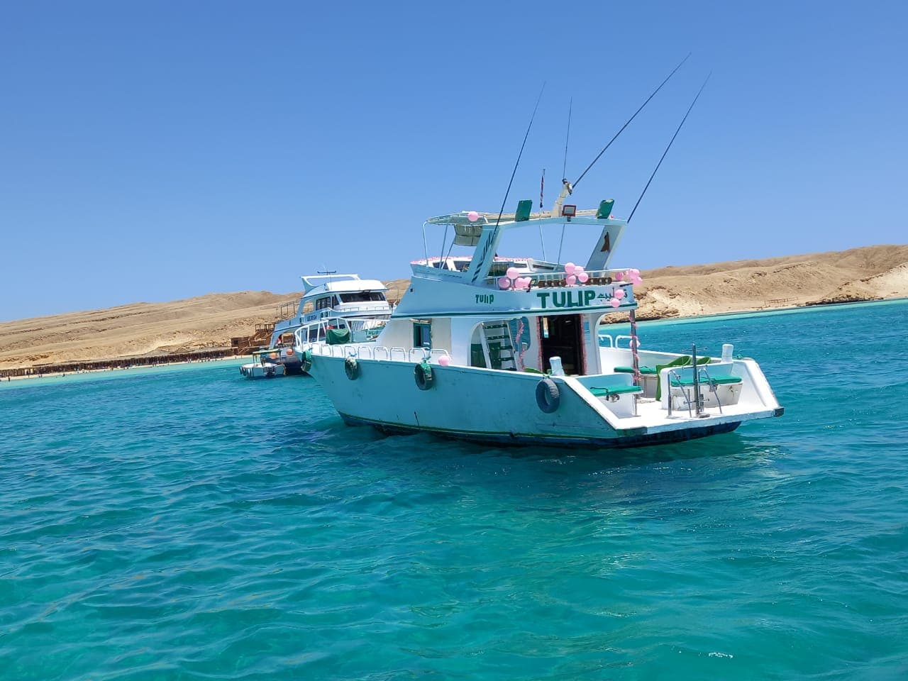 Fishing Trip - image 3