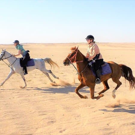 Horse Riding Tour - image 1
