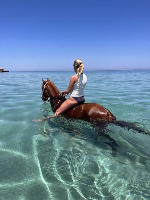 Horse Riding Tour - image 2