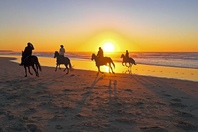 Horse Riding Tour - image 3