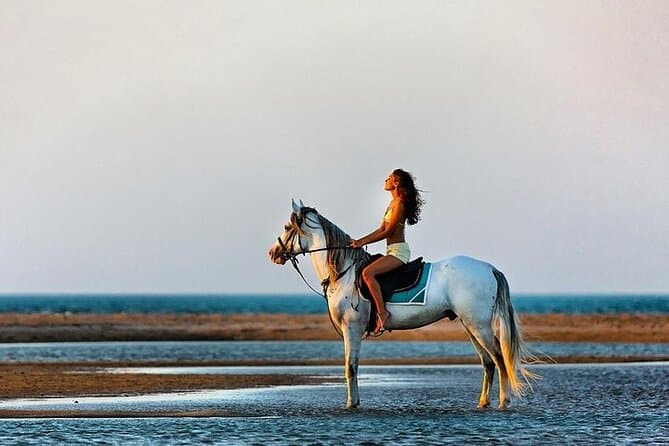Horse Riding Tour