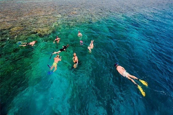 Paradise Island - image 3