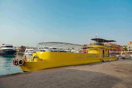 Paradise Semi Submarine - image 2
