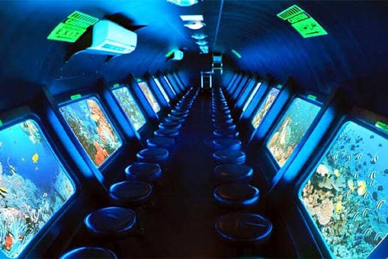 Paradise Semi Submarine - image 3
