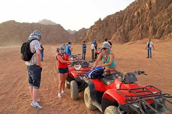 Quad Bike Safari - image 1