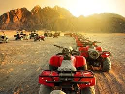 Quad Bike Safari - image 4