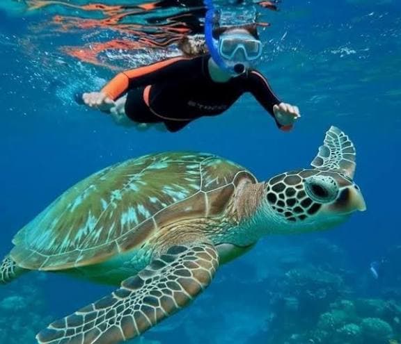Sharm El Naga - image 1