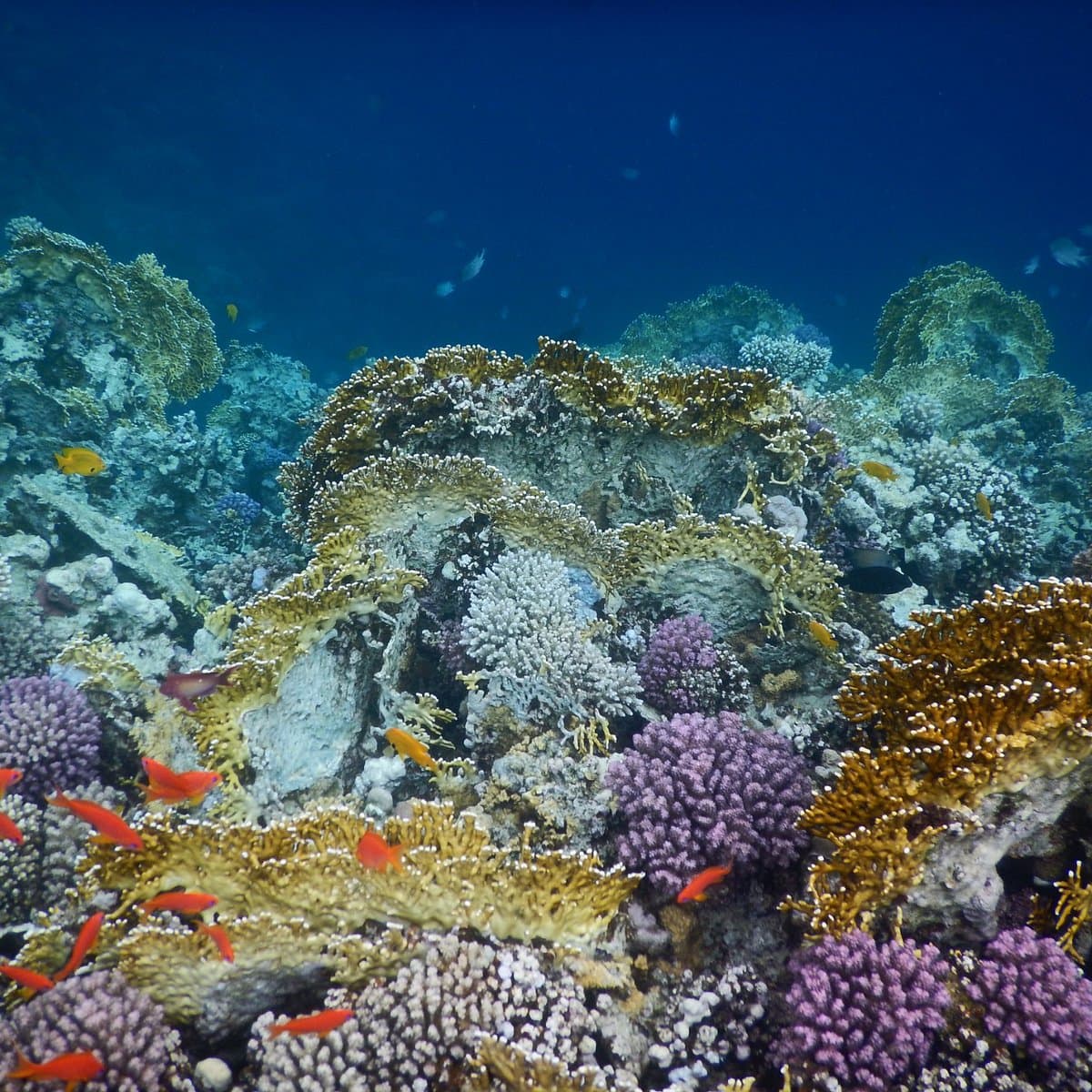 Sharm El Naga - image 2