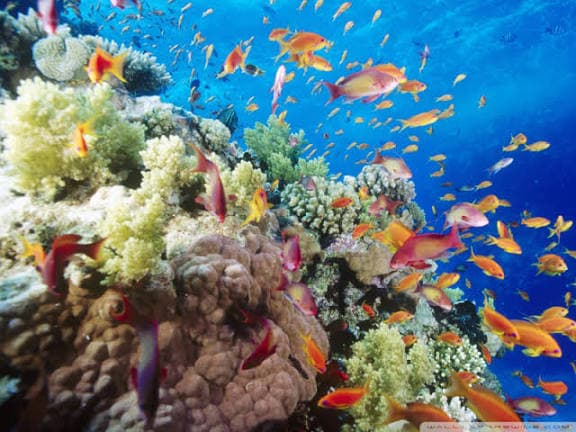 Sharm El Naga - image 3
