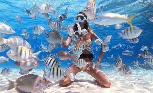 Sharm El Naga - image 5