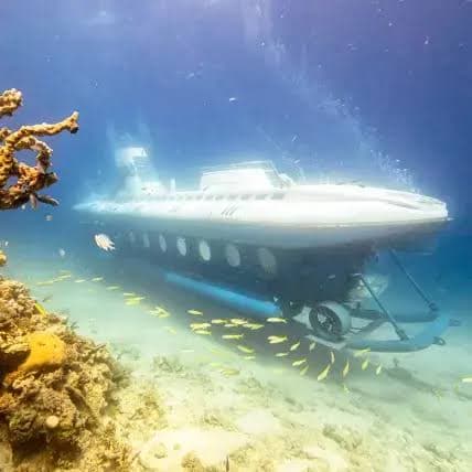 Sindbad Submarine - image 1