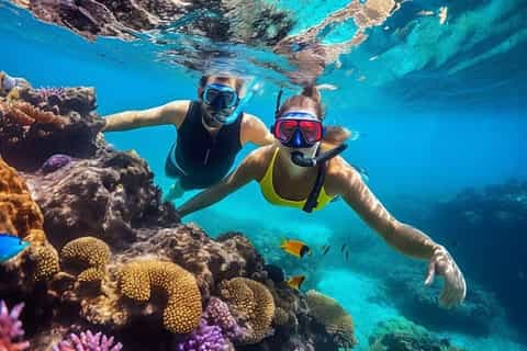 Snorkeling Trip - image 1