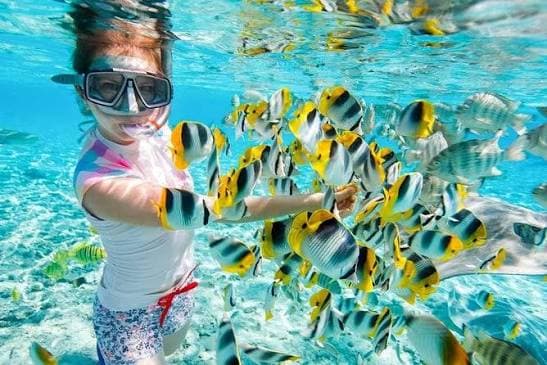 Snorkeling Trip - image 2