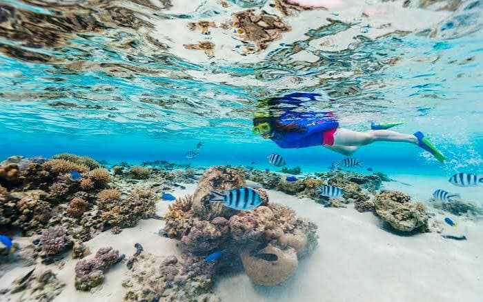 Snorkeling Trip - image 3