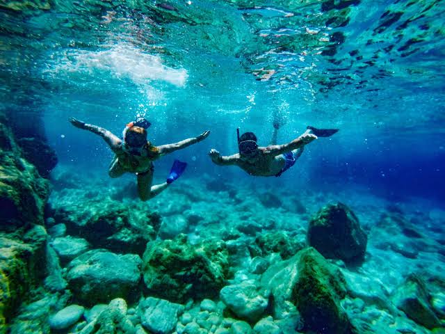 Snorkeling Trip - image 4