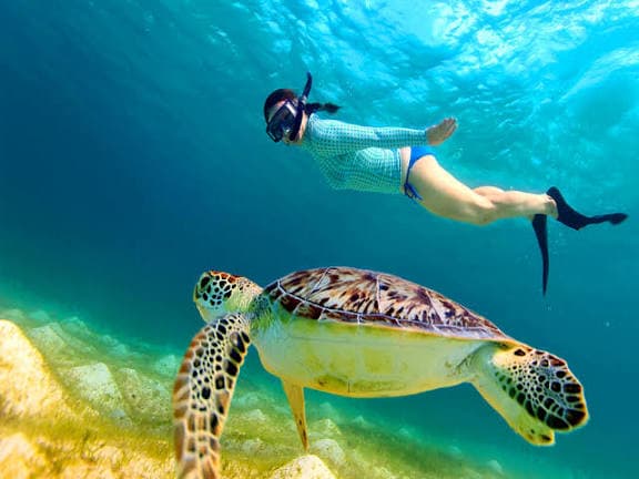 Snorkeling Trip - image 5