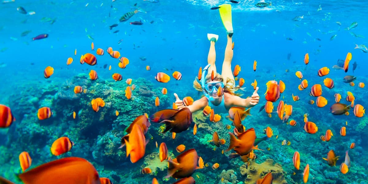 Snorkeling Trip