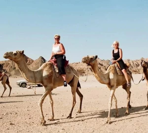 Super Safari - image 4