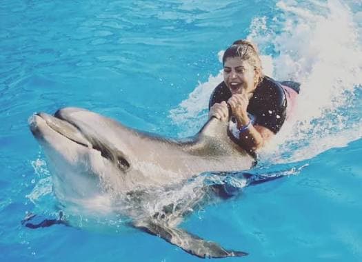 Swimming with Dolphins - image 4